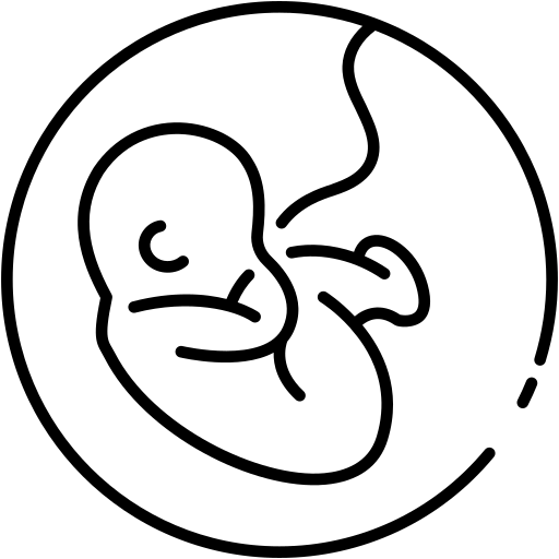 Endometriosis Icon